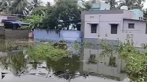 TNL Flood