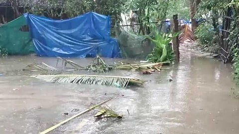 TVR Rain