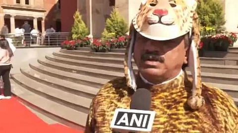 Maharastra tiger