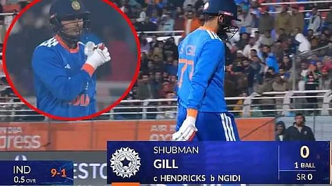 Gill