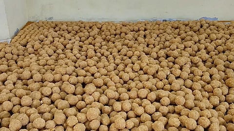 laddu