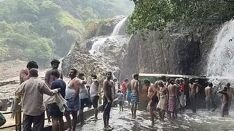 TNL Agasthiyar falls