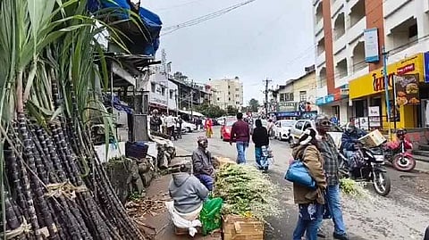 Kodaikanal karumbu