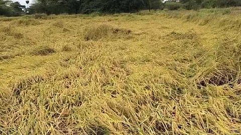 Tiruvarur