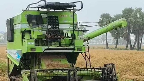 NGP Paddy damaged