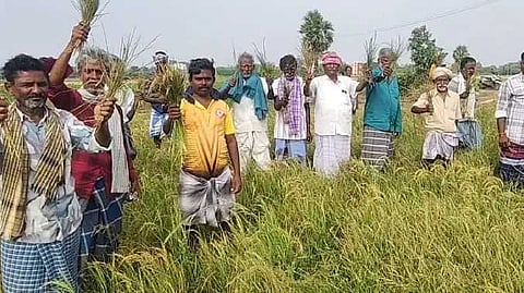 RMP Farmer issue
