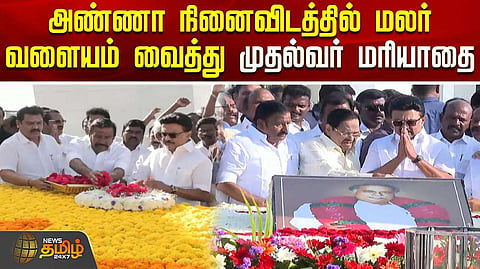 cm in anna