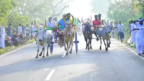 SVG Rackla race