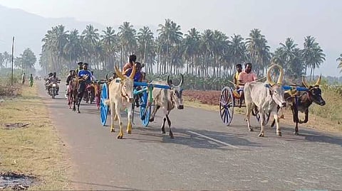 theni 3(2)