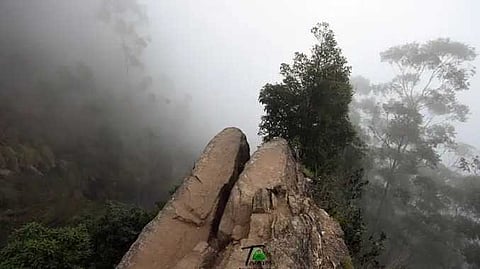 Dolphin nose