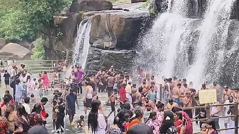 சுற்றுலாப் பயணிகள்