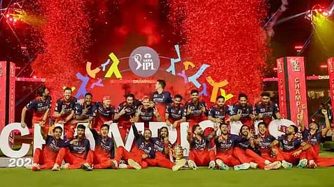 rcb 2026 winner