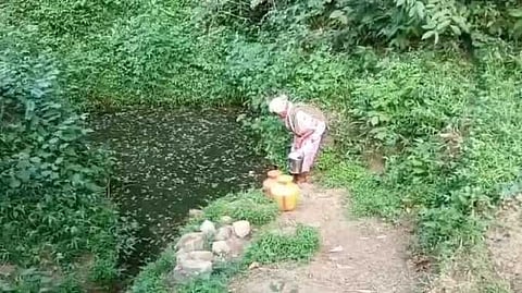 கோவை