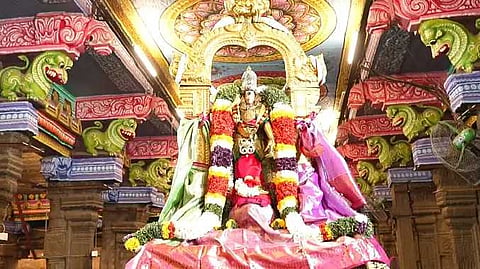 மதுரை மீனாட்சி