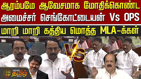 தேடுகிறேன், தேடுகிறேன், தேடிக்கொண்டே இருக்கிறேன்