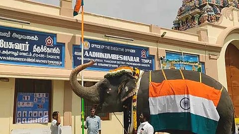 யானை கொடிக்கு மரியாதை