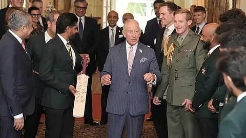 சல்மான் அலி