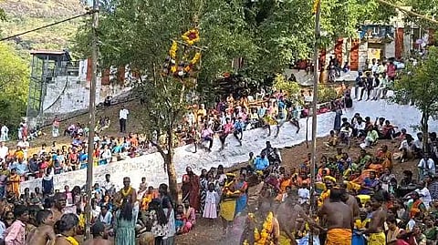 நெல்லை