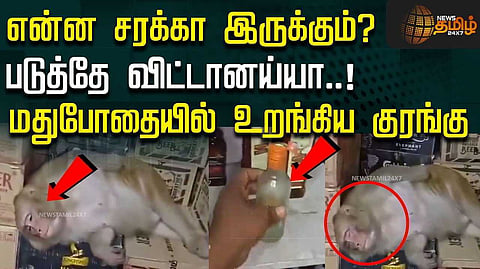 மதுக்கடையில் ’கூலாக’ சரக்கடித்து விட்டு தூங்கிய குரங்கு