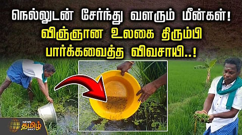 லாபகரமான இயற்கை விவசாய முறை