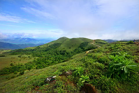 Mandalpatti Mountain in Madikeri, Coorg