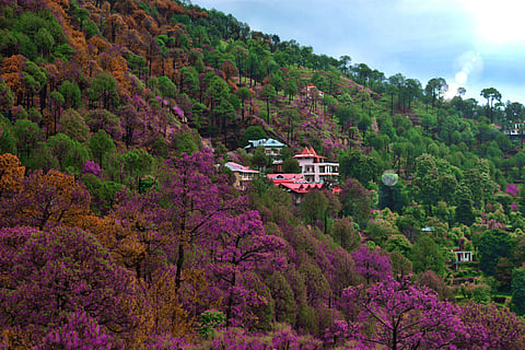 Kasauli, Himachal Pradesh