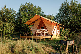 For representation purpose only