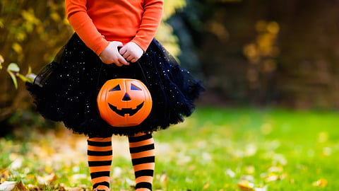 The jack-o-lanterns are a big part of Halloween celebrations