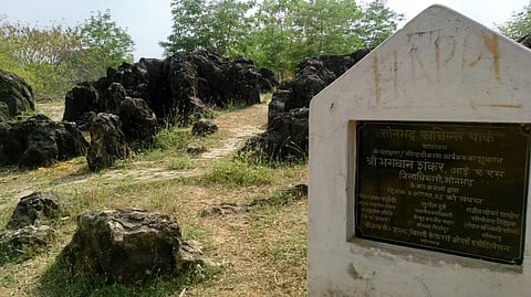 Sonbhadra Fossil Park is regarded as one of Asia's largest and oldest fossil parks