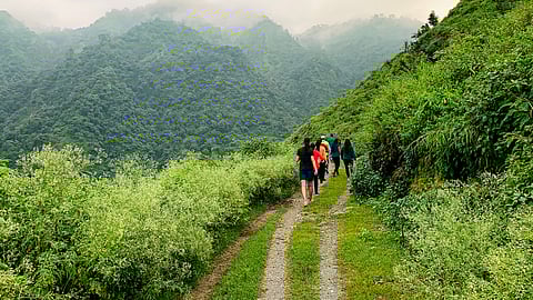 Go on treks and hikes around Dehradun