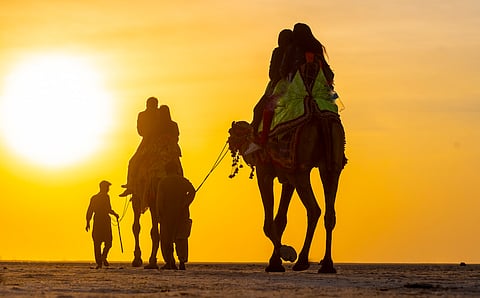 Tourists riding camels at the Rann Utsav