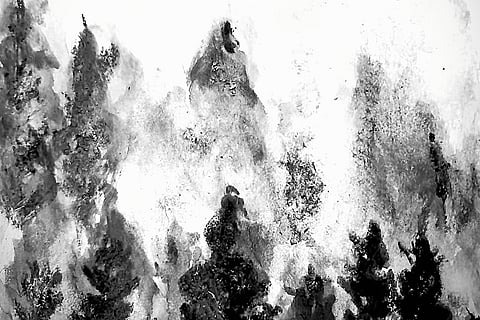 The author's depiction of the Black Forest