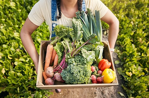 Learn how to grow food on your next holiday