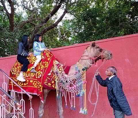 A 10-minute camel ride near Jal Mahal costs Rs 150 per person