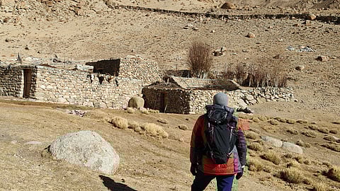 On The Trail Of The Snow Leopard