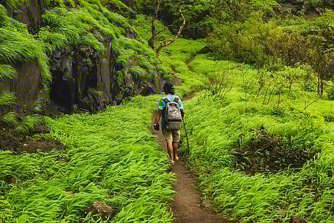 These treks promise exciting adventures and beautiful views