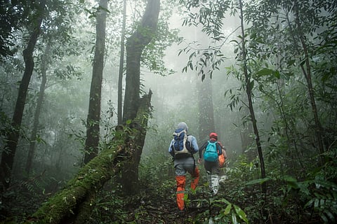 The influx of trekkers in this fragile environment drew criticism from wildlife activists