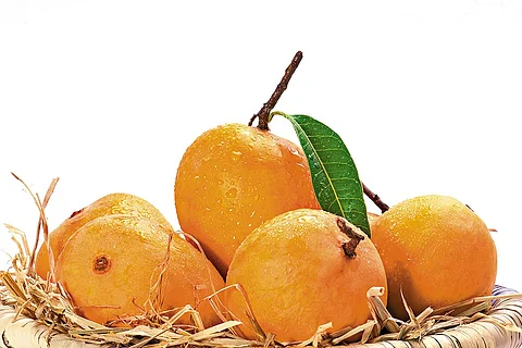 Alphonso