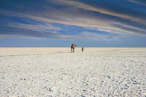 The white desert makes a show every winter