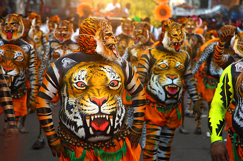 Puli Kali is performed by skilled artists who paint their bodies and faces with yellow, red and black stripes to resemble tigers and hunters