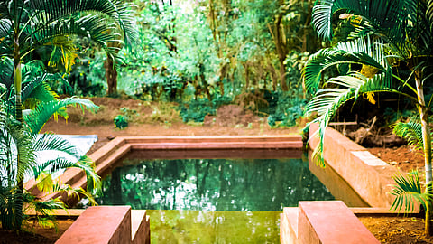 The pool at one Nature's Nest Goa's residences
