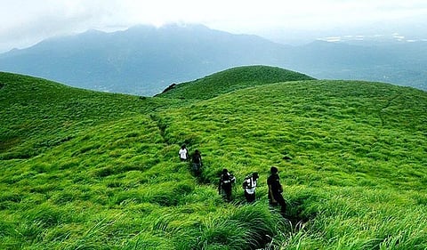 Guide To Wayanad