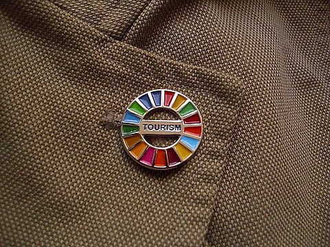 A pin of the Sustainable Development Goals created by the United Nations