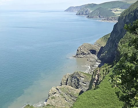 Cliffs of the Hangman Sandstone Formation, where many of the fossils were found