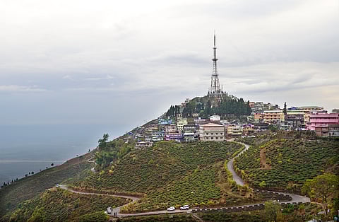 Kurseong is also known as the "Land of White Orchids"