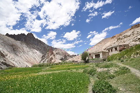Hiking through lush green valleys of Markha river