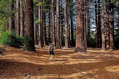 Immersive Unseen India