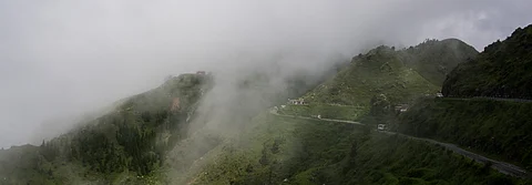 The forests of Dehradun wrapped in mist
