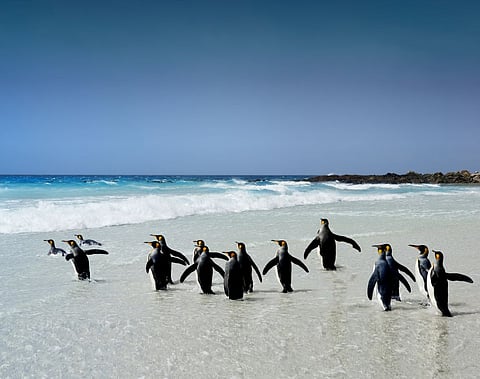 Puerto Madryn, Argentina