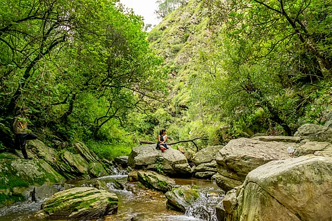 If you enjoy the sights and sounds of nature, you will not be disappointed here